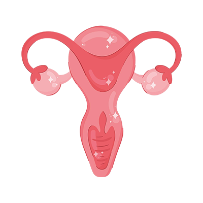 Laparoscopic Gynaecological Surgery